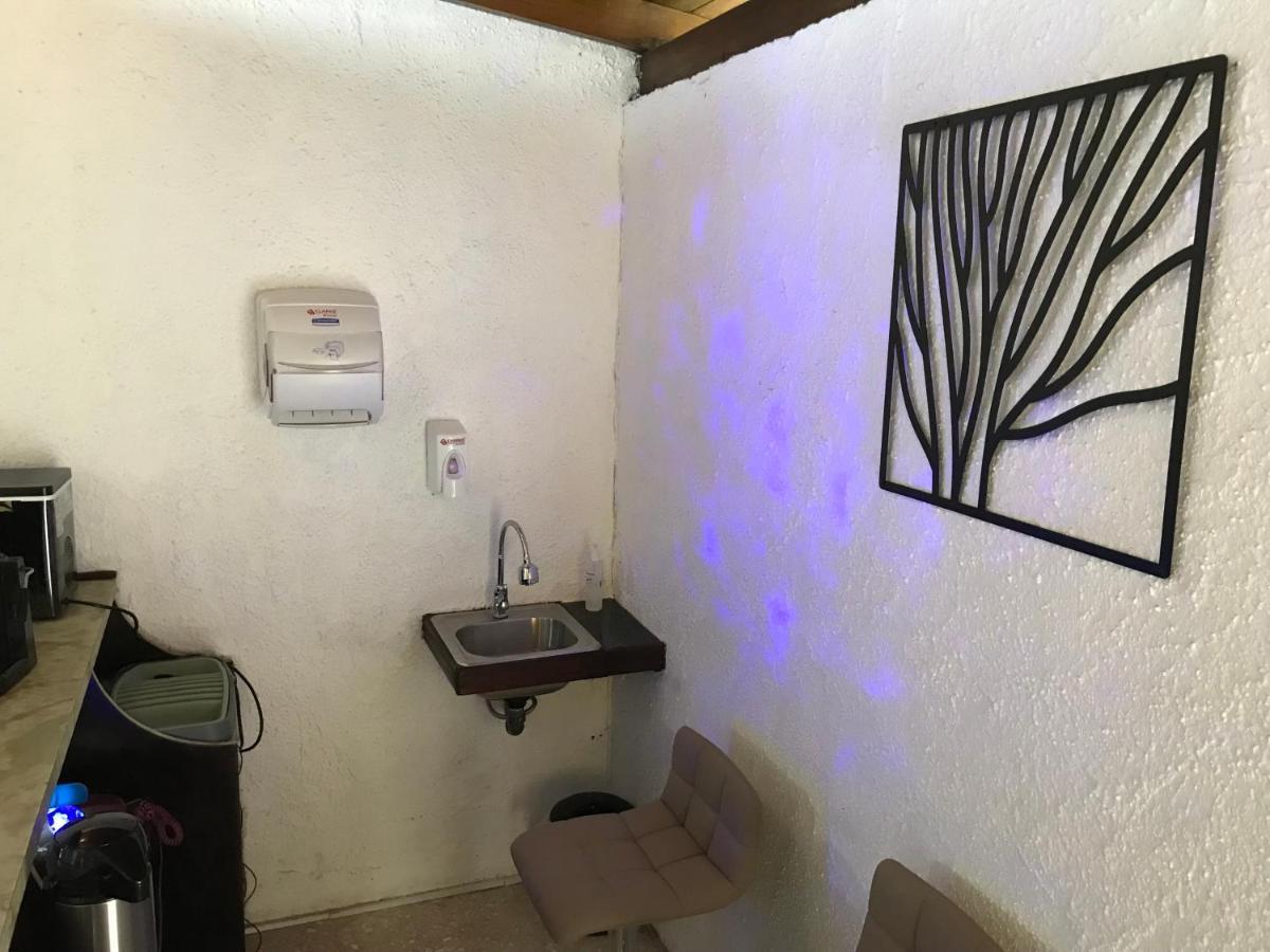 サンホセ Corazon Sabana Bed & Breakfast エクステリア 写真